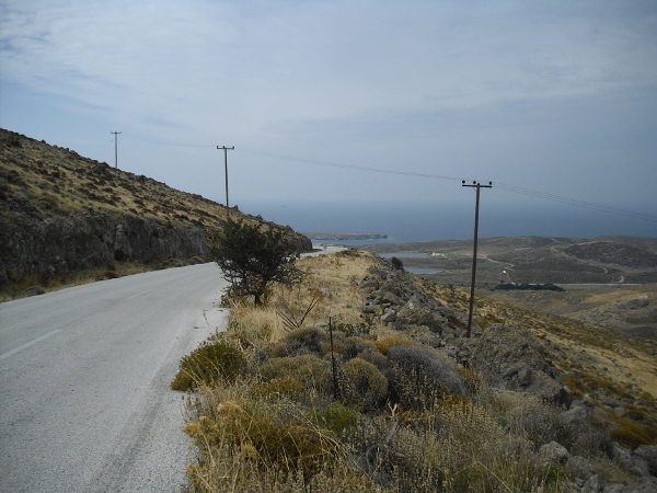 CIMG0170 (600x450)