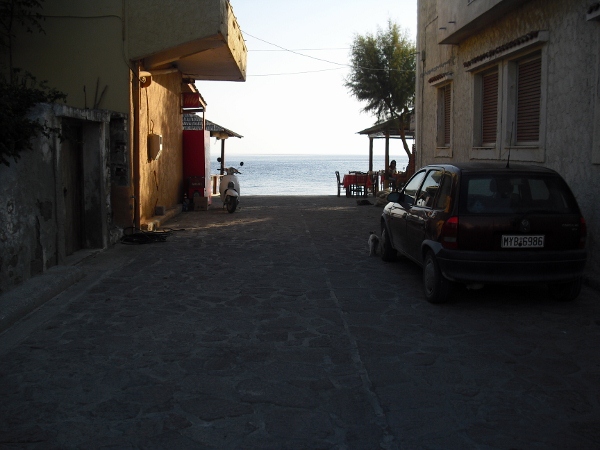 CIMG0195 (600x450)