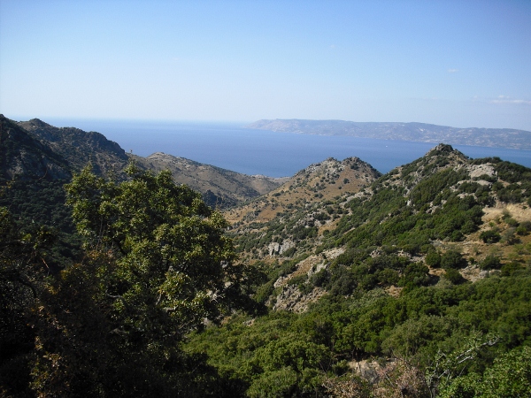 CIMG0290 (600x450)