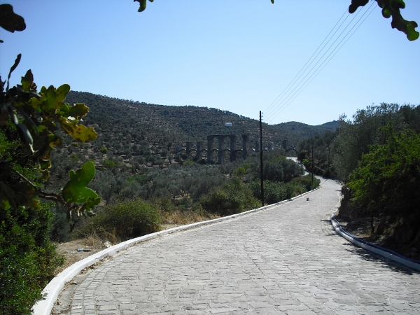 CIMG0501 (600x450)