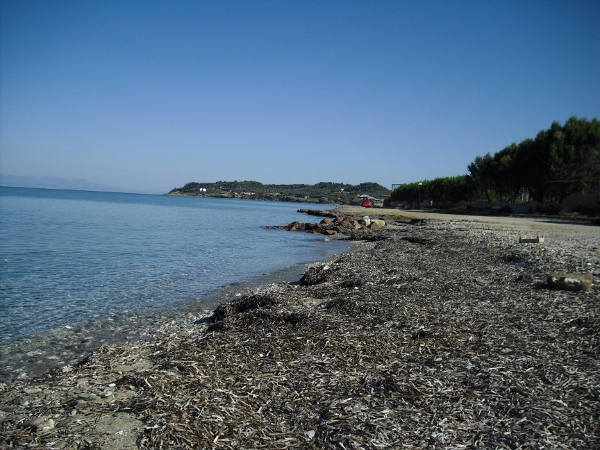 CIMG0517 (600x450)