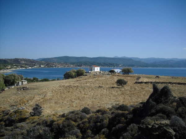 CIMG0560 (600x450)