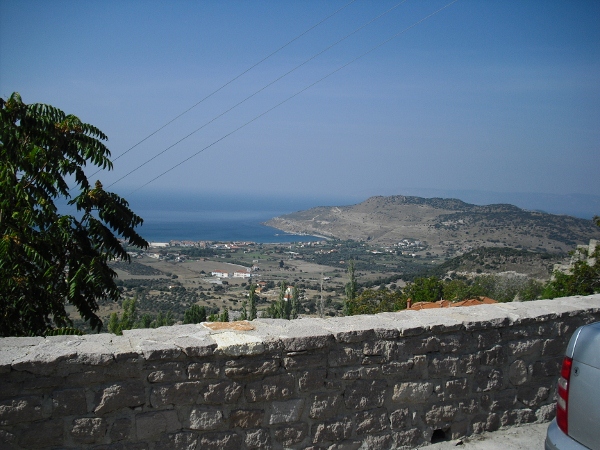 CIMG0742 (600x450)