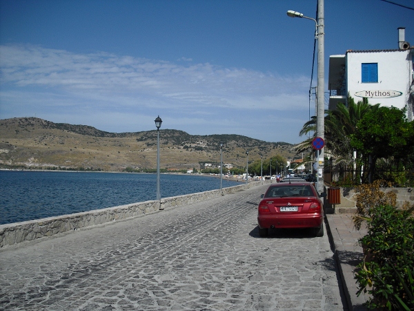 CIMG0024 (600x450)