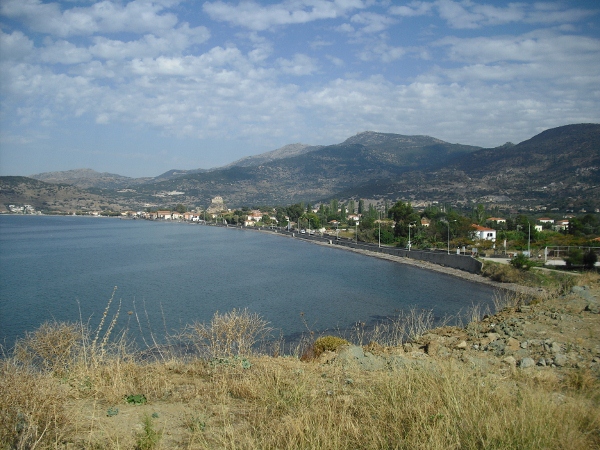 CIMG0068 (600x450)